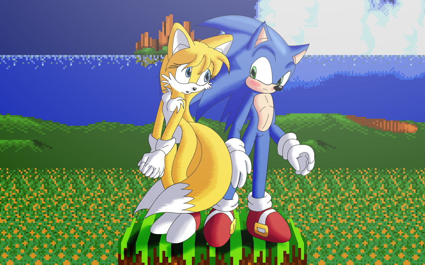 Two characters, Tails, a two tailed vixen, and Sonic, a blue hedgehog, stand in a platform so small it can barely hold the two of them. Tails is looking at Sonic wishingly, almost in awe, with her torso pointing in the opposite direction, both of her arms facing down, hands held together, and her tails down, almost defensively or embarrased. Sonic stands next to her, his torso facing to the right, and looking back at her, with a blush on his cheeks. He appears somewhat akward at the whole situation. Behind them there's a scaled up background of Emerald Hill Zone from Sonic 2 for the MegaDrive
